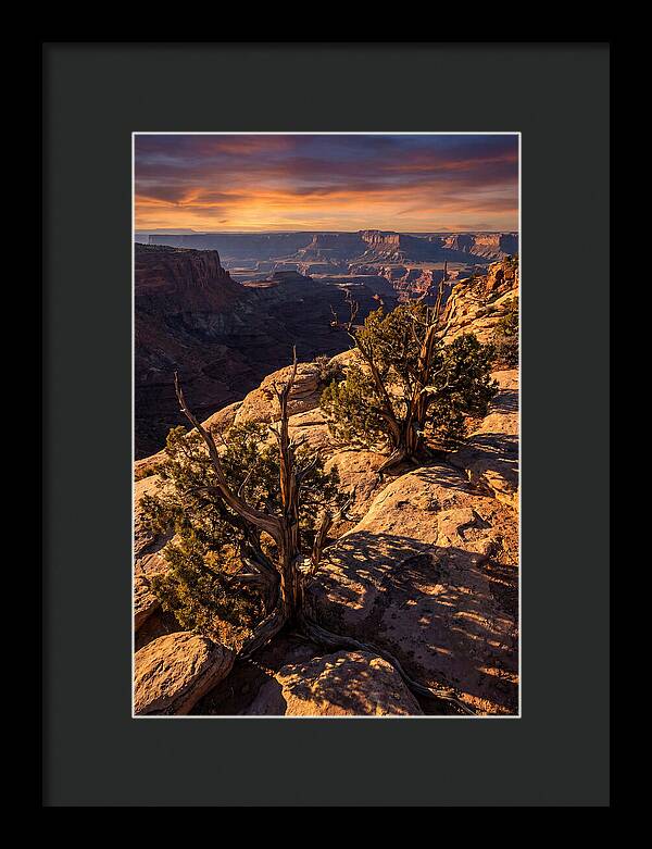 Great Basin Desert Serenity