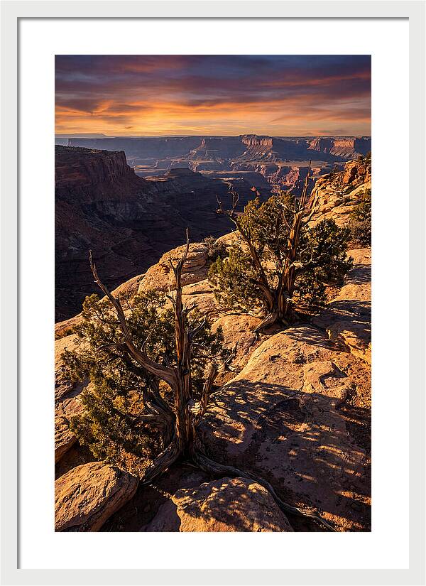 Great Basin Desert Serenity