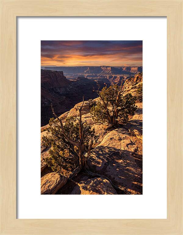 Great Basin Desert Serenity