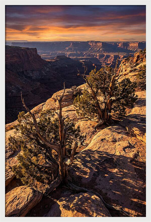 Great Basin Desert Serenity