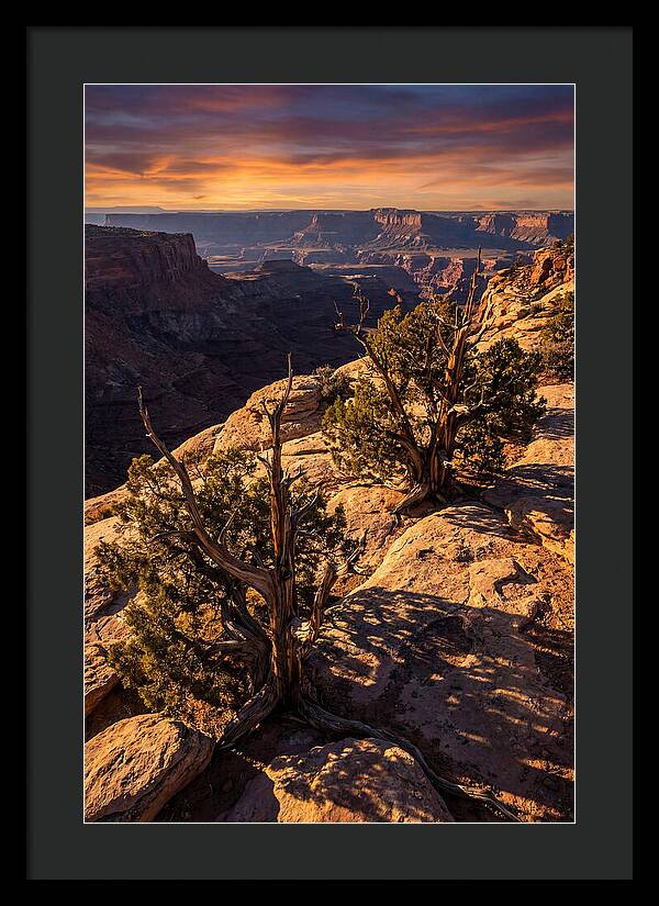 Great Basin Desert Serenity