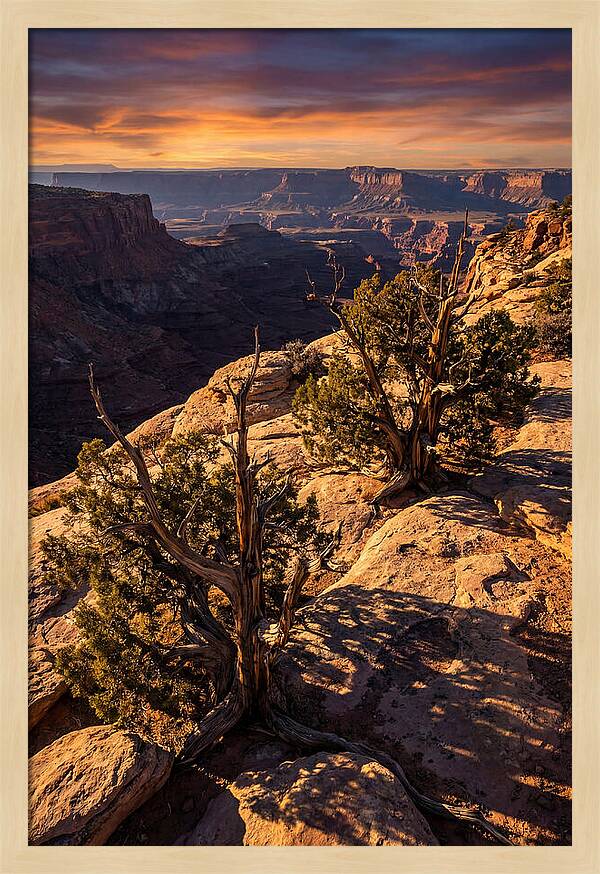 Great Basin Desert Serenity
