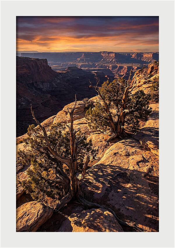Great Basin Desert Serenity
