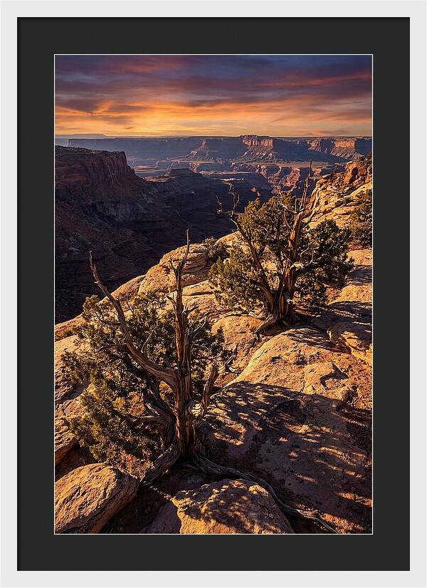 Great Basin Desert Serenity