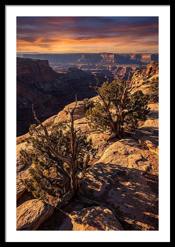 Great Basin Desert Serenity