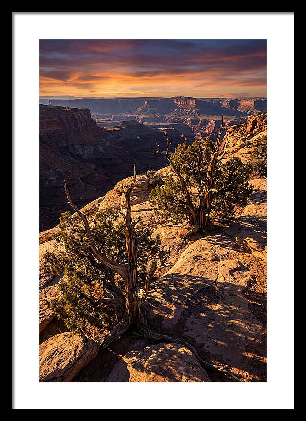 Great Basin Desert Serenity
