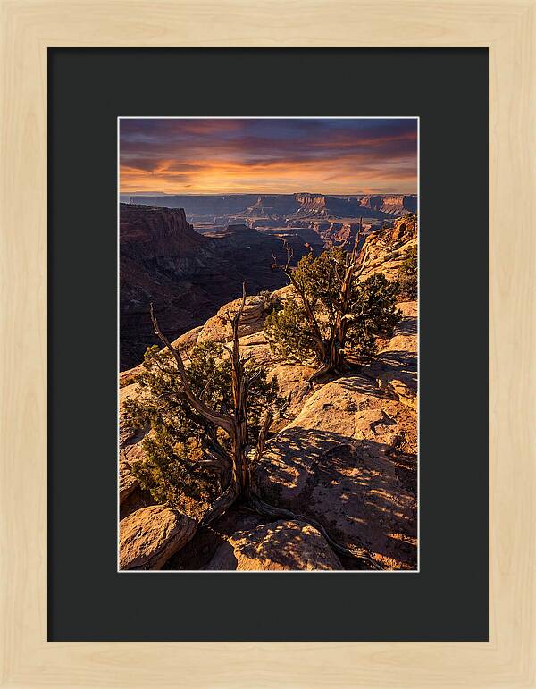 Great Basin Desert Serenity