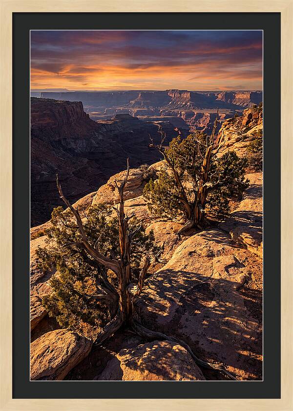 Great Basin Desert Serenity