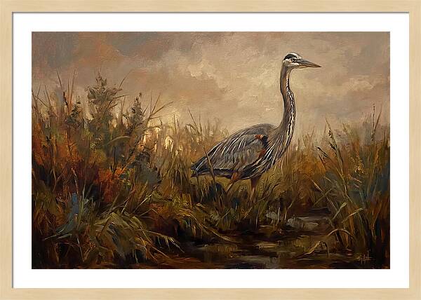Great Blue Heron Among Reeds