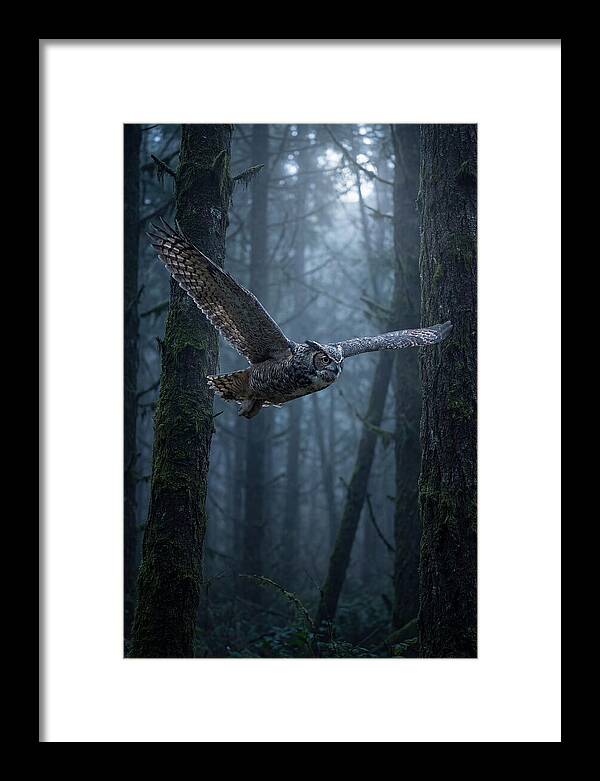 Great Horned Owl In Flight