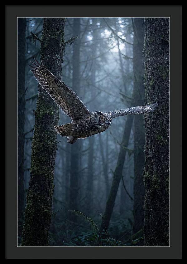 Great Horned Owl In Flight