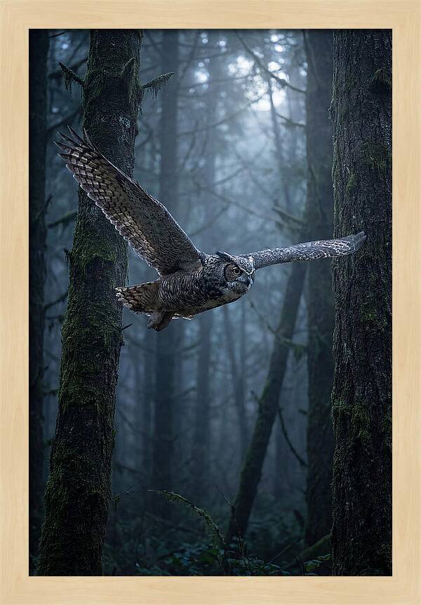Great Horned Owl In Flight