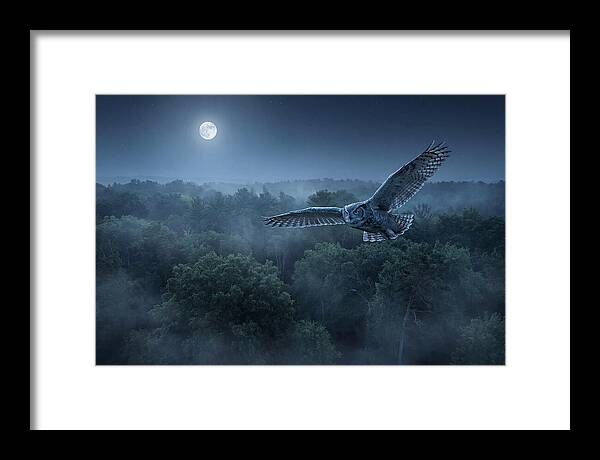 Great Horned Owl In Moonlight
