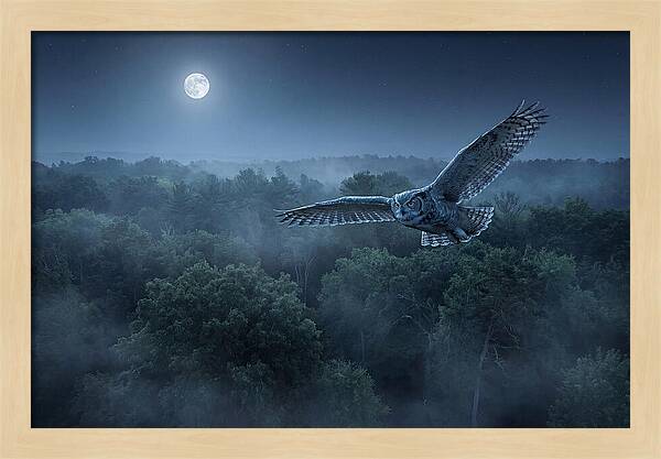 Great Horned Owl In Moonlight