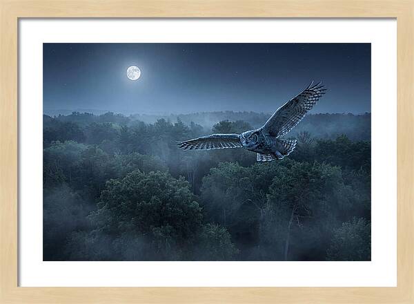 Great Horned Owl In Moonlight