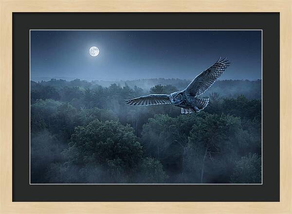 Great Horned Owl In Moonlight