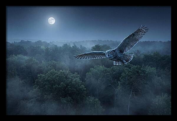 Great Horned Owl In Moonlight