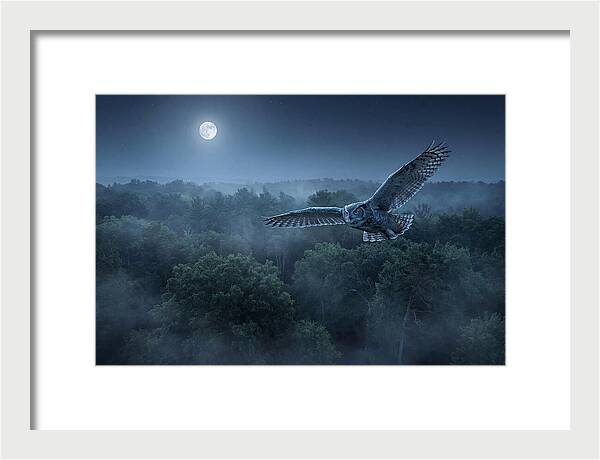Great Horned Owl In Moonlight
