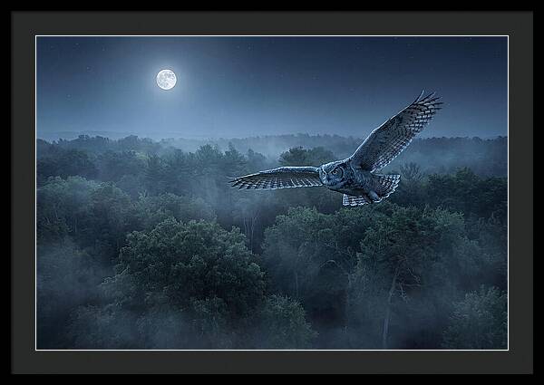 Great Horned Owl In Moonlight
