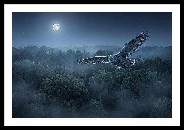Great Horned Owl In Moonlight