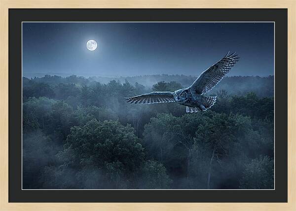 Great Horned Owl In Moonlight