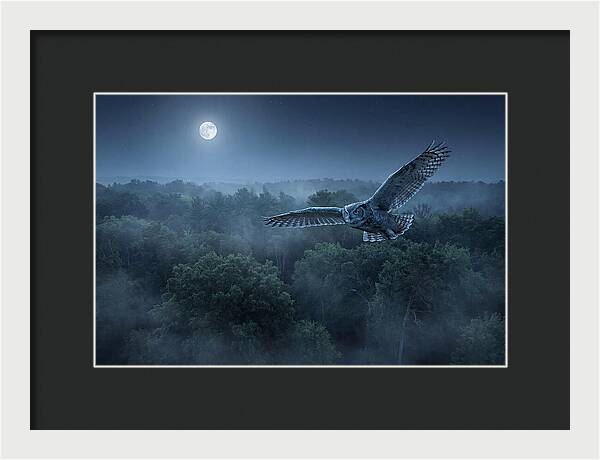 Great Horned Owl In Moonlight