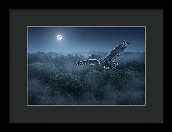 Great Horned Owl In Moonlight