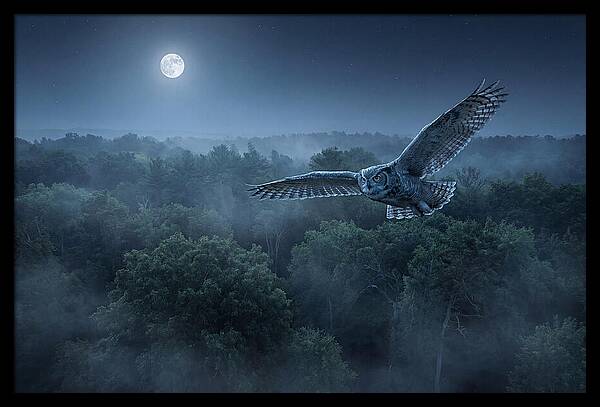 Great Horned Owl In Moonlight