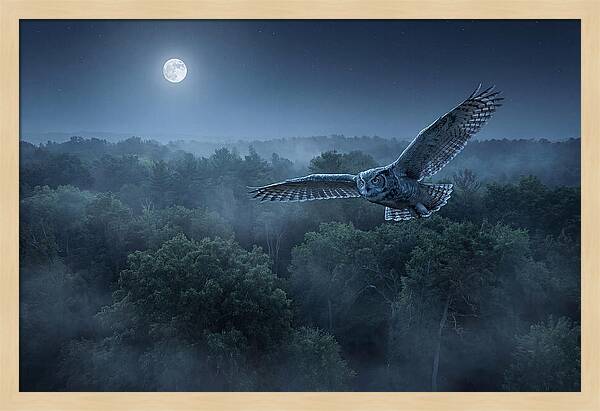 Great Horned Owl In Moonlight