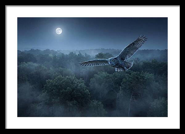 Great Horned Owl In Moonlight