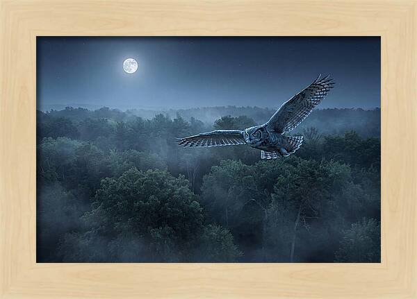 Great Horned Owl In Moonlight