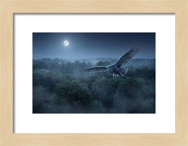 Great Horned Owl In Moonlight