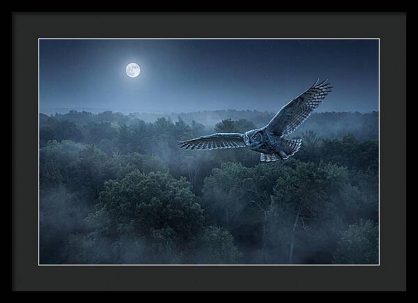 Great Horned Owl In Moonlight