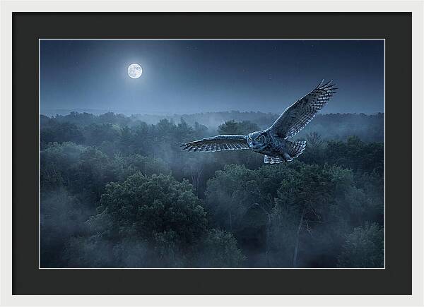 Great Horned Owl In Moonlight