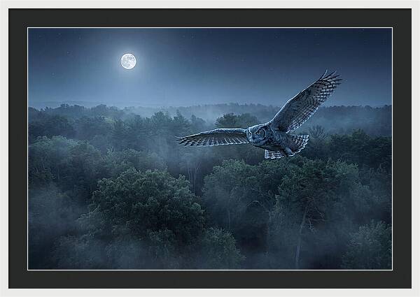 Great Horned Owl In Moonlight