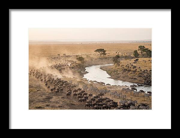 Great Migration Across Serengeti