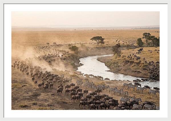 Great Migration Across Serengeti
