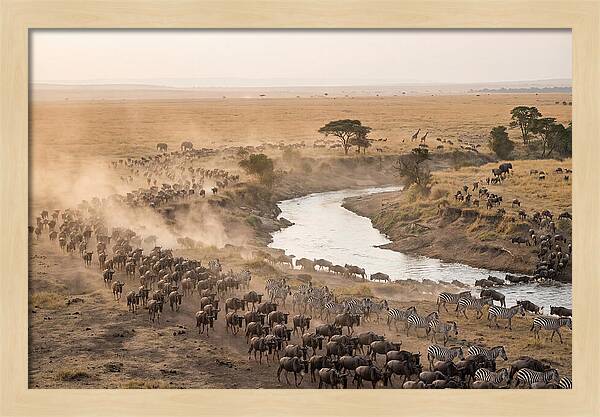 Great Migration Across Serengeti
