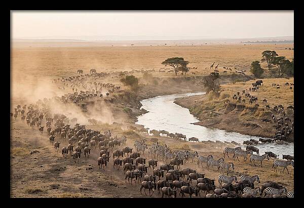 Great Migration Across Serengeti
