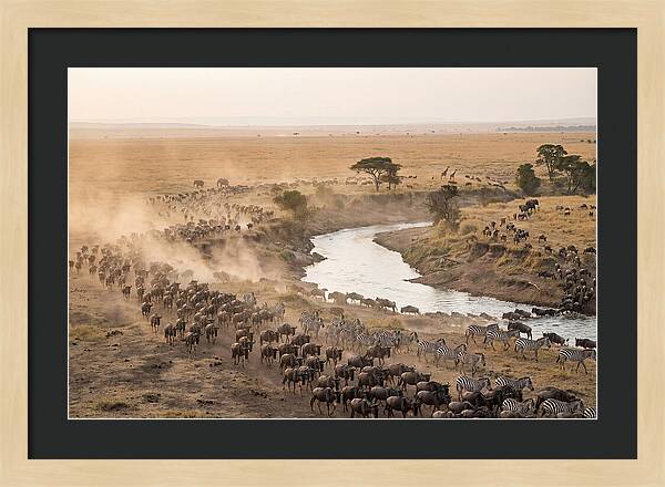 Great Migration Across Serengeti