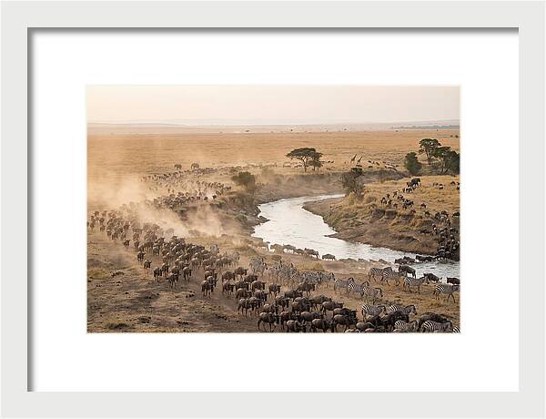 Great Migration Across Serengeti