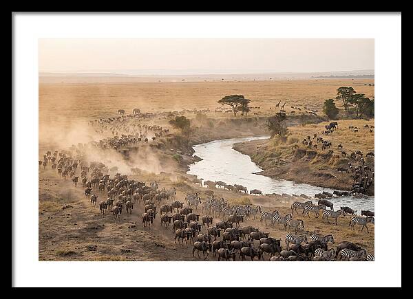 Great Migration Across Serengeti