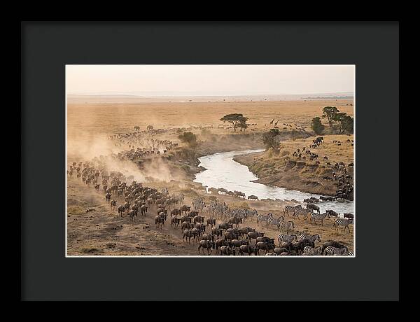 Great Migration Across Serengeti