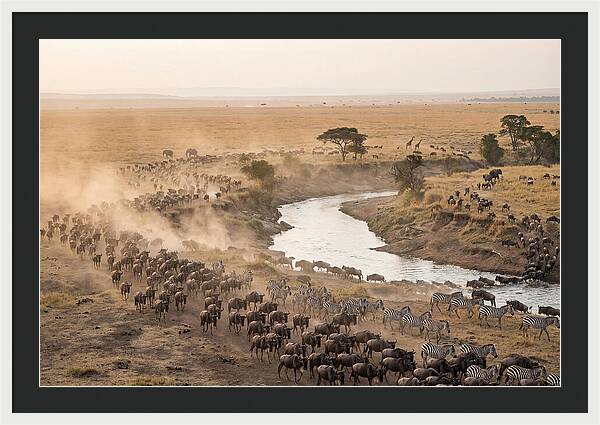 Great Migration Across Serengeti