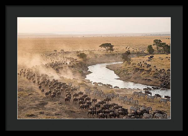 Great Migration Across Serengeti