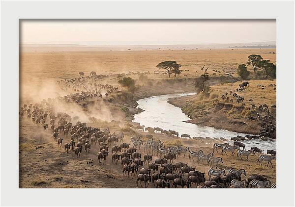 Great Migration Across Serengeti