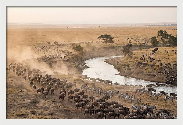 Great Migration Across Serengeti