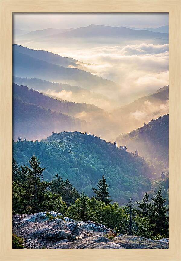 Great Smokies Mountain Mist