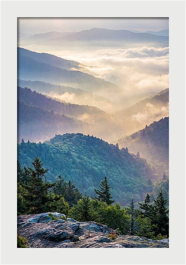 Great Smokies Mountain Mist