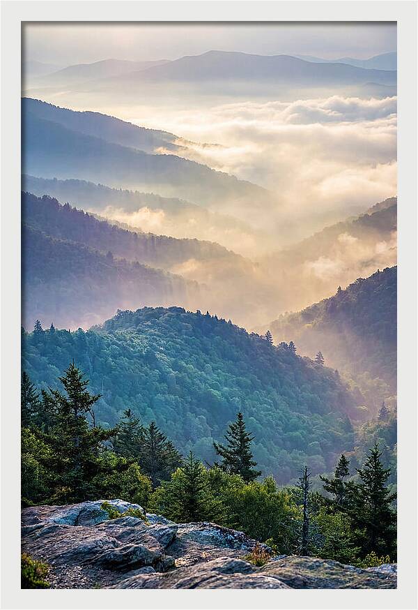 Great Smokies Mountain Mist
